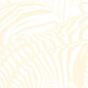 Beach House Teen Dream