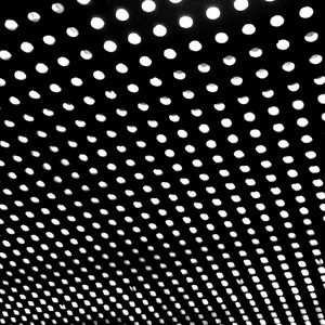 Beach House Bloom