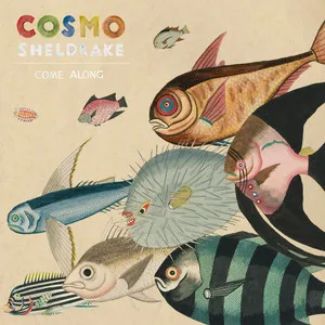 Cosmo Sheldrake Come Along