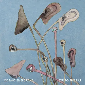 Cosmo Sheldrake Eye To The Ear