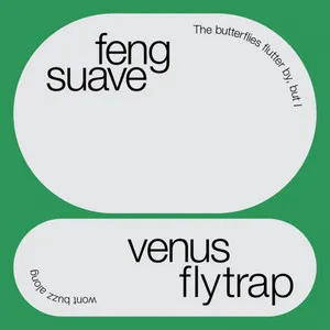 Feng Suave Venus Flytrap
