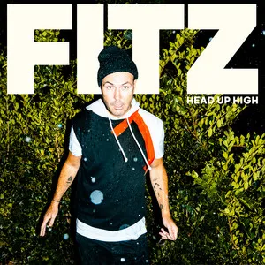 Fitz And The Tantrums Head Up High