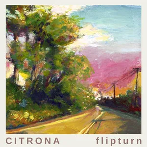 Flip Turn Hippies