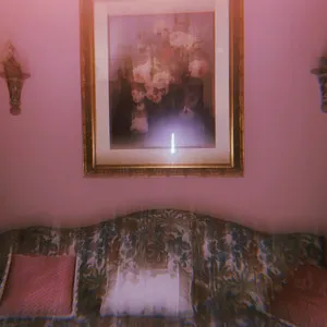 Hotel Ugly Piggyping
