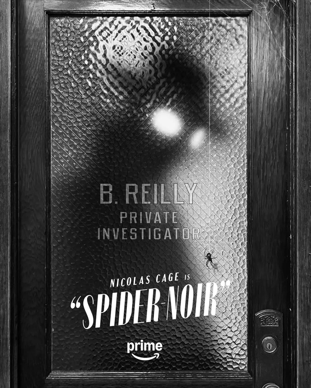 Spider Noir
