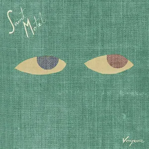 Saint Motel Voyeur