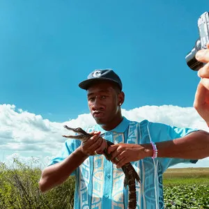 Tyler The Creator Best Interest