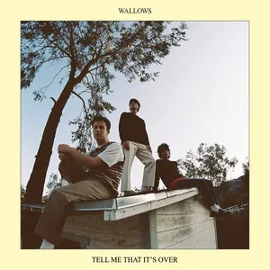 Wallows Tell Me That Its Over